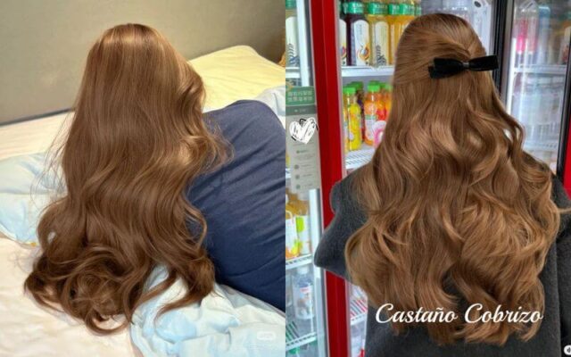 15 Tonos de Cabello Castaño: Encuentra el Perfecto para Ti